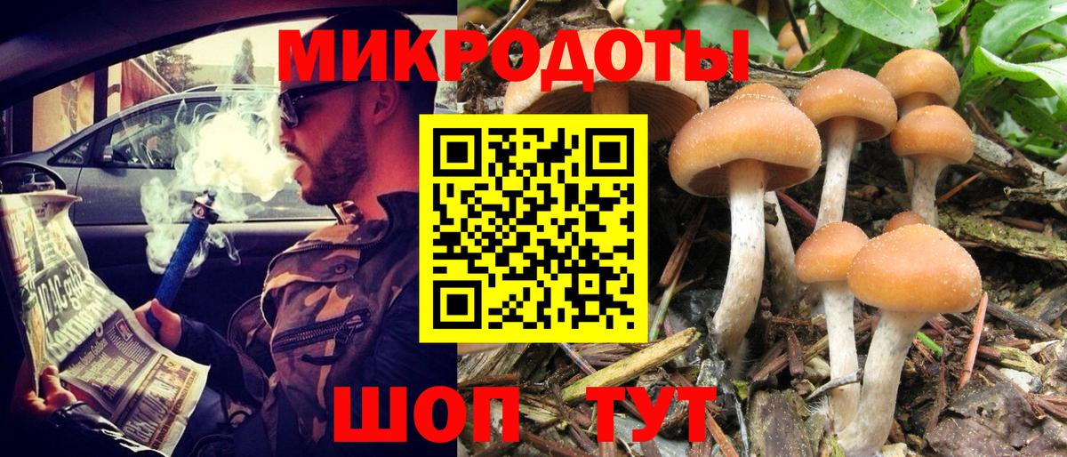 Псилоцибиновые грибы Cubensis  где найти   Вход с VPN  Тобольск  Галлюциногенные грибы мицелий 